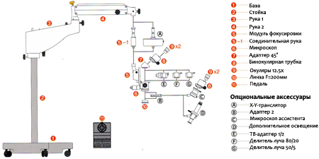 image001.png image001.png