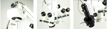 image009.png image009.png